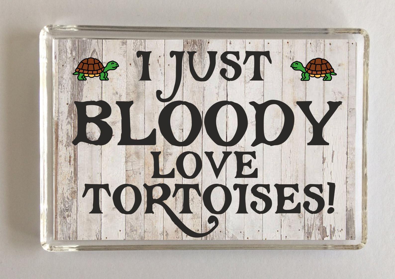 Tortoise slogan novelty magnet - 