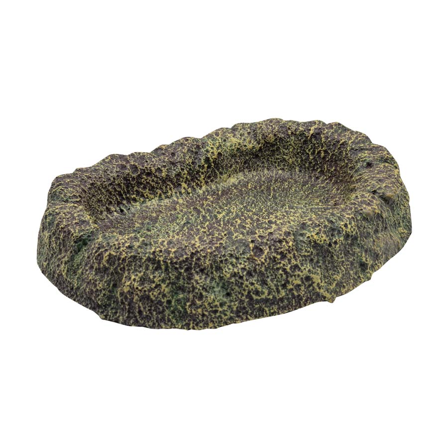 RepStyle Rainforest Dish, Medium (24cm x 18.5cm x 3.5cm depth)