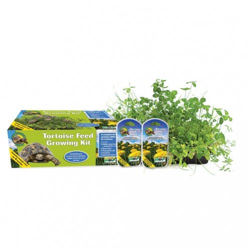 ProRep Tortoise Feed Grow Kit with 4 Sowings ***** CURRENTLY OUT OF STOCK*****
