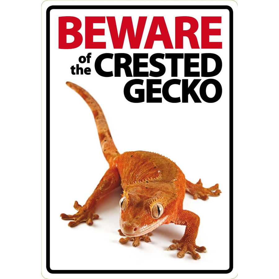 'Beware of the Crested Gecko' Sign