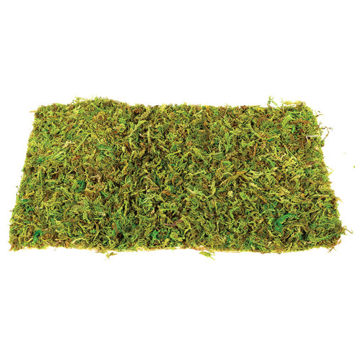 Komodo Natural Moss Mat, 2 pack - Large (46cm x 46cm)