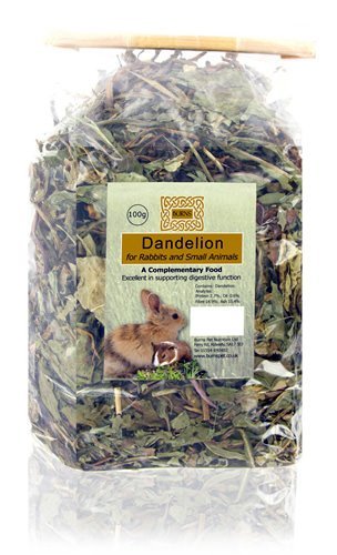 Burns Pet Nutrition Dandelion, 100g ***** CURRENTLY OUT OF STOCK*****