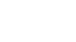 Tortoise Den